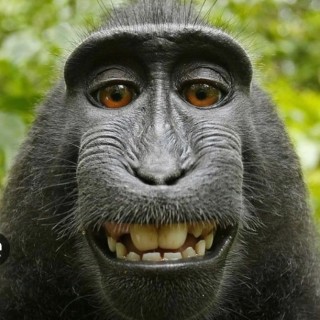 Monke Man69