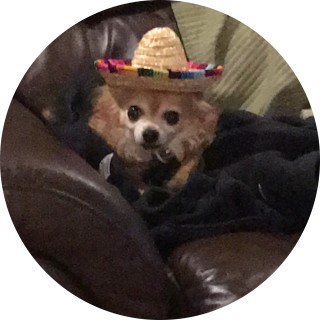 yaboimemeston avatar