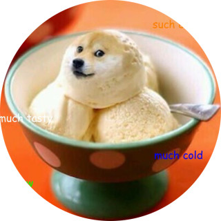 xx_dogerules_xx avatar