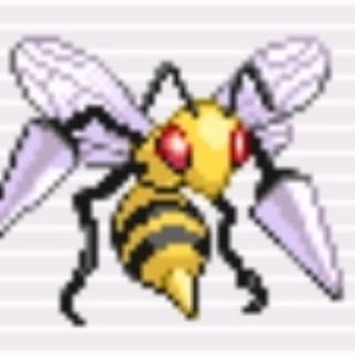 some_random_bee avatar