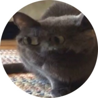 meme_lord0263 avatar