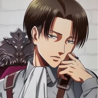 Captain_Levi_2.0 avatar