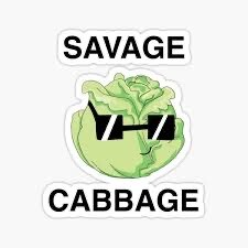 SavageCabbage623 avatar