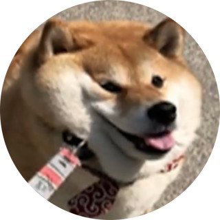 fatkookaburra avatar