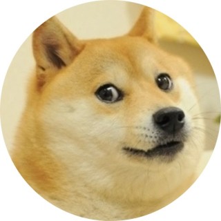 your_local_noob avatar