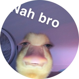 waddlesoinkoink avatar