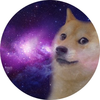 freshdailymemes_ avatar