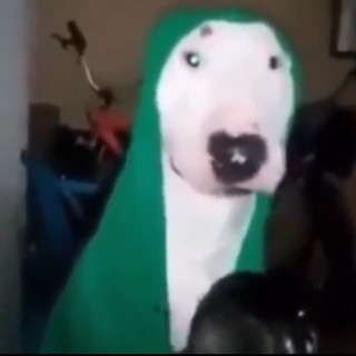 BagelsAreDope avatar