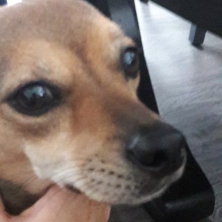 memesboiiiiiiiiiiiii avatar