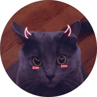 Sadcatmeme avatar