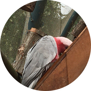 not_on_my_level avatar