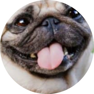 ttv_your_trash avatar