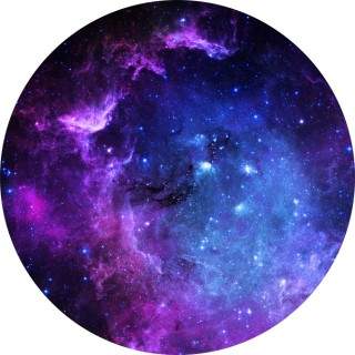 monkey_is_the_best avatar