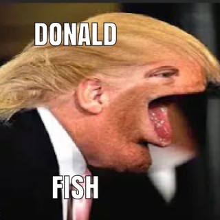 Memeanater537282 avatar