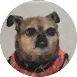 aspen_trujillo avatar