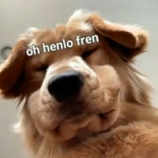 oh.ur.still.there avatar