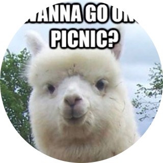 roccorodger08 avatar