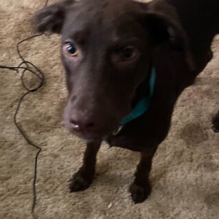 meme_god_1000 avatar