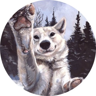 dont_care_much avatar