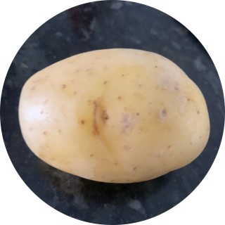 i_love_potatos7351 avatar