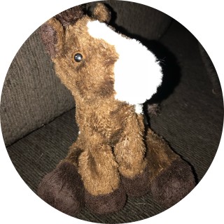 memes_4_u_mahfriend avatar