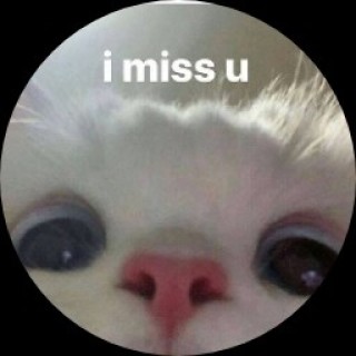 memes_and_jeans avatar