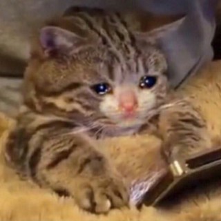 Christian_10101 avatar