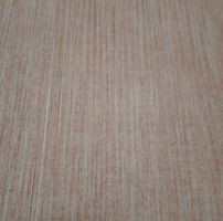 tomaszek.orzechowski avatar