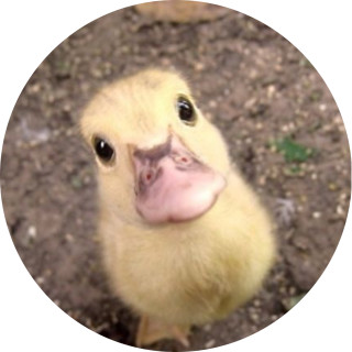 bendylikesvids avatar