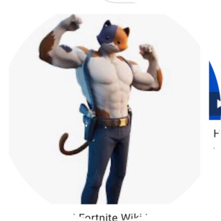 over_rides_kitten avatar