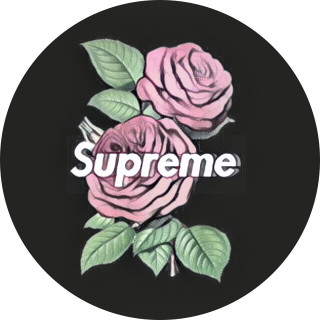 the_hoe_bitch avatar