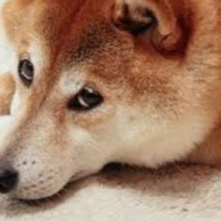 kevinloveseating avatar