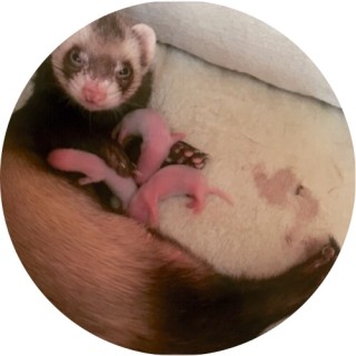 that_woman_that_loves_weekends avatar