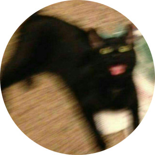 trashcat avatar