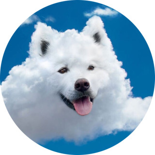 cloudboi avatar