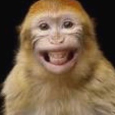 monkey_boy_999 avatar