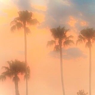 Sunflowerlunam avatar