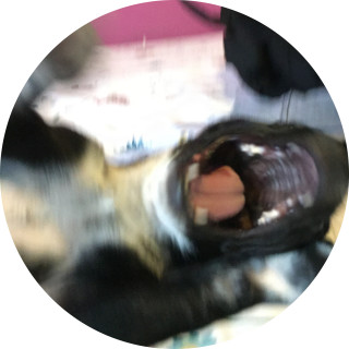 Random___memes avatar