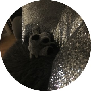 dankerzanjtubfv avatar