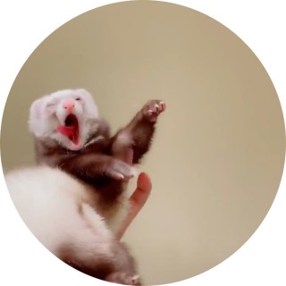 corrupted_293 avatar