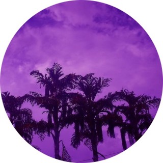 purple_oompalompa_lover avatar