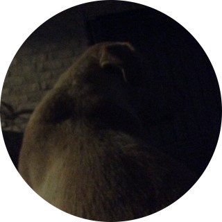 those_animalmemes avatar