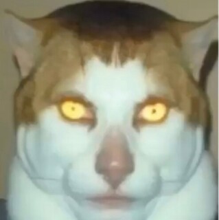 toiletdestroyer avatar