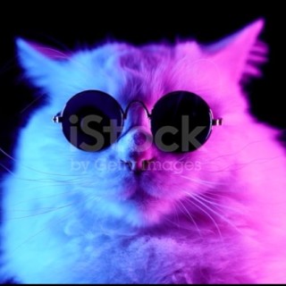 Suvira_timkwao avatar