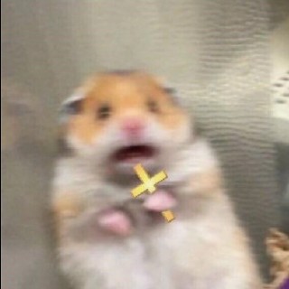 meme_mafia2020 avatar