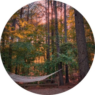 memeatron_0825 avatar