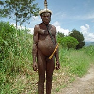 stoneagedaddy_1 avatar