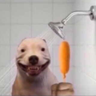 A random memer22