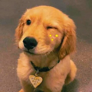 BubbleGumCandy avatar