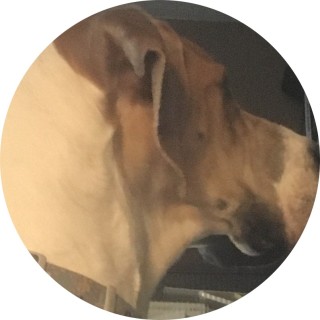 the_ultimate_memeer avatar